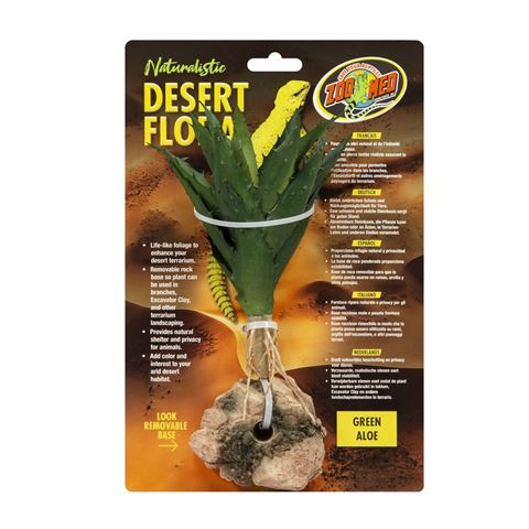 Desert Flora – Green Aloe